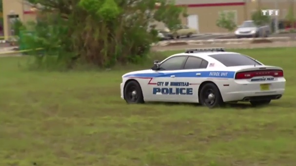 2011 Dodge Charger Pursuit [LD]