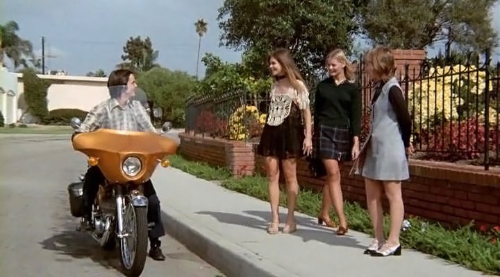 1968 Suzuki T 500 Cobra