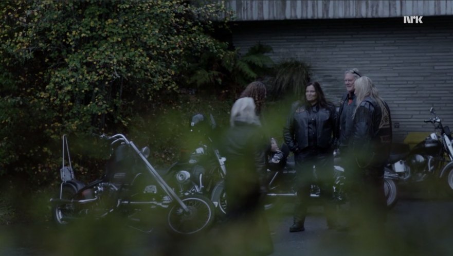 Harley-Davidson Custom Chopper