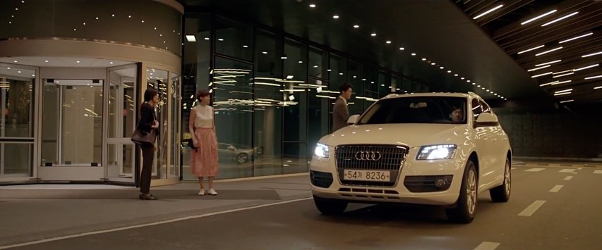 2009 Audi Q5 [Typ 8R]