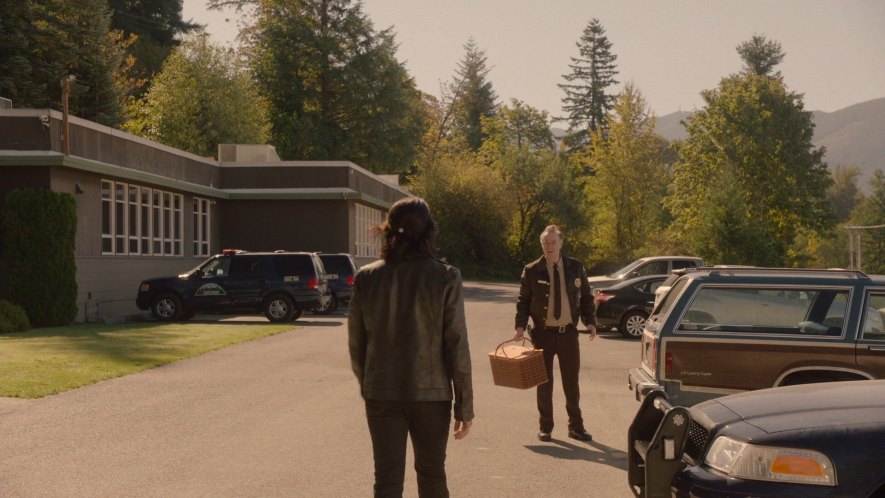 1979 Ford LTD Country Squire