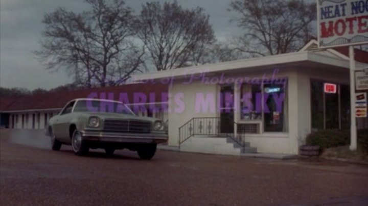 1974 Chevrolet Chevelle Malibu