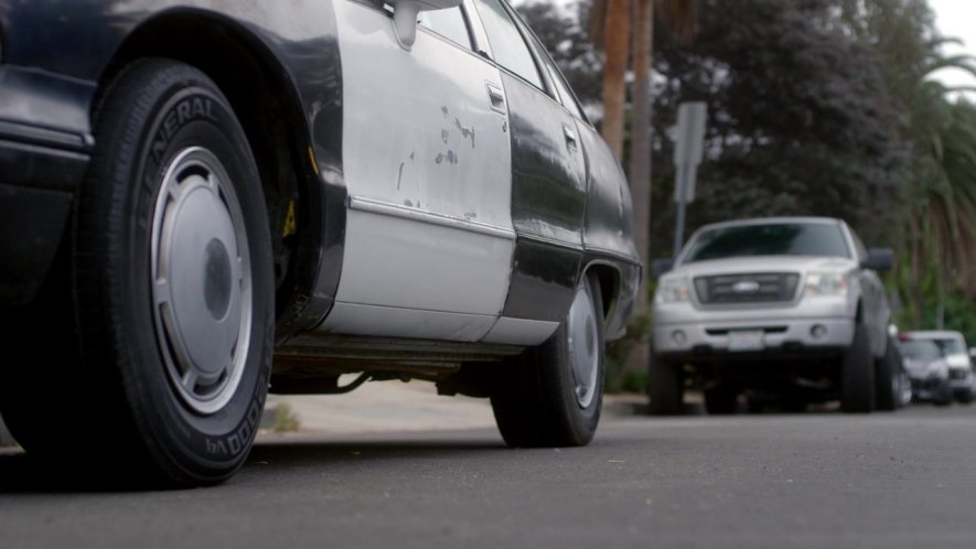 2006 Ford F-150 [P221]