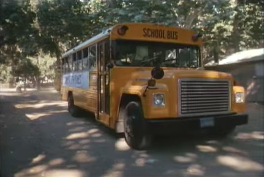 1973 International Harvester Loadstar Wayne