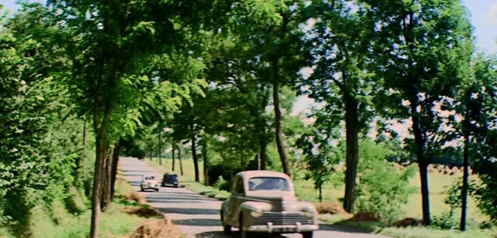 1950 Peugeot 203 Berline Luxe