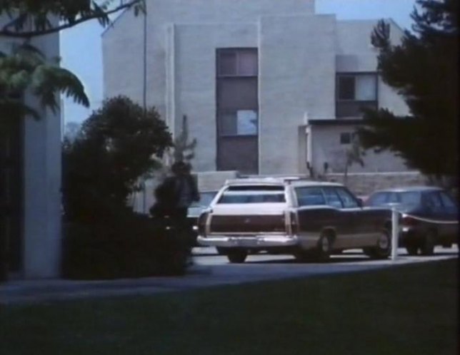 1973 Ford LTD Country Squire