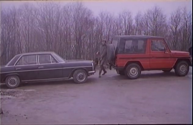 Mercedes-Benz G-Klasse [W460]