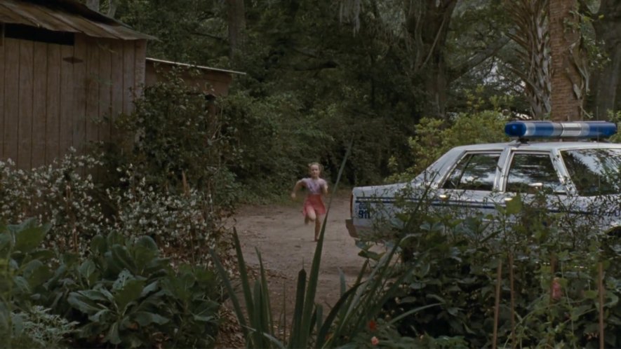 1988 Ford LTD Crown Victoria