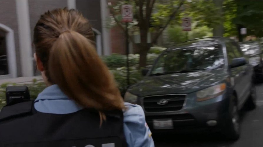 2007 Hyundai Santa Fe [CM]