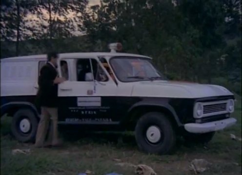 1971 Chevrolet Veraneio [C-1416]