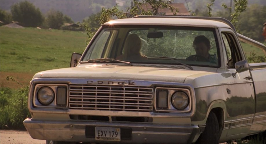 1977 Dodge D-Series Conventional Cab [AD]