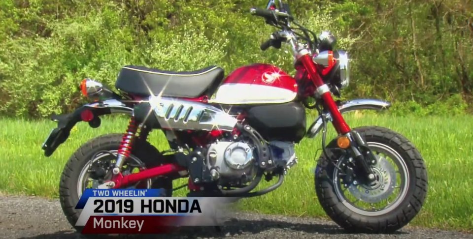 2019 Honda Monkey 125 [JB02]