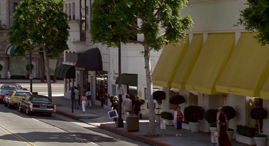 1980 Cadillac Fleetwood Brougham