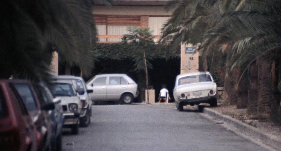 1981 Suzuki Alto [SS40]