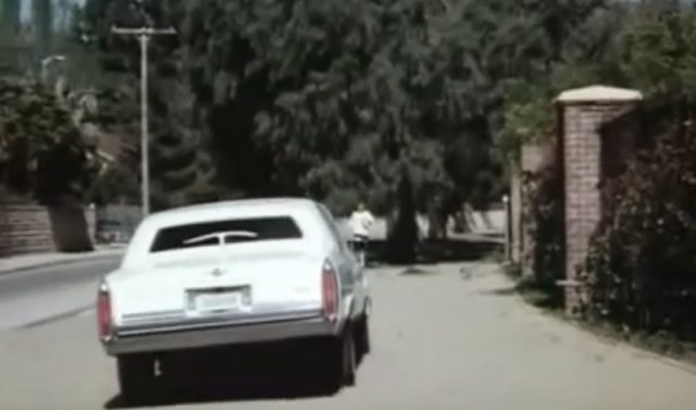 1984 Cadillac Sedan DeVille Stretched Limousine O'Gara Coachworks 'St. Moritz'