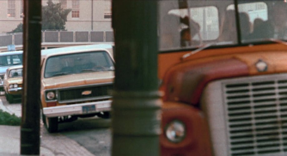 1973 Chevrolet C-10