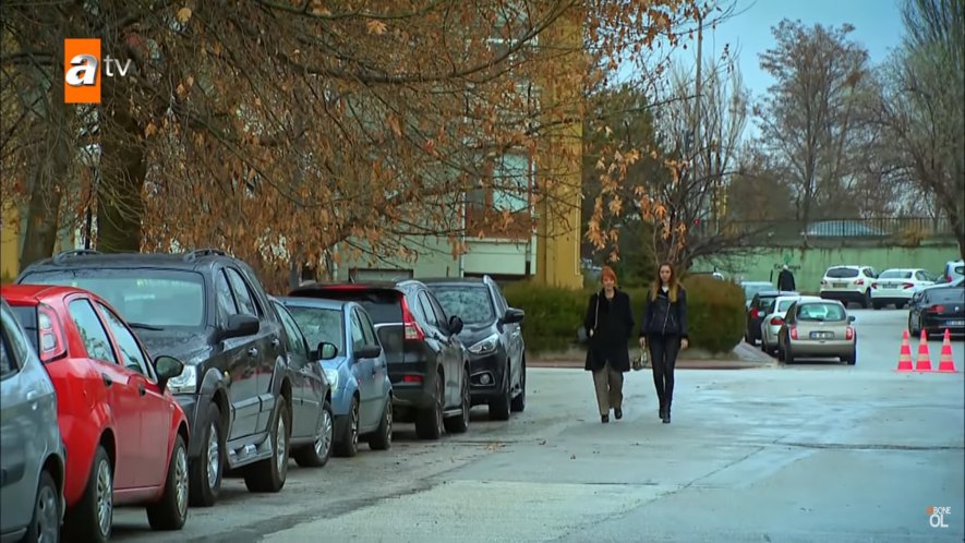 2010 Fiat Punto Evo Active [199]