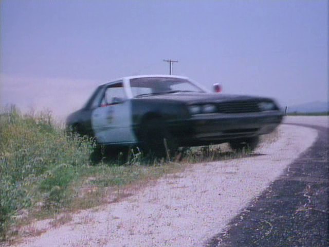 1982 Ford Mustang SSP