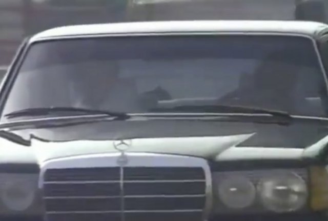 Mercedes-Benz [W123]