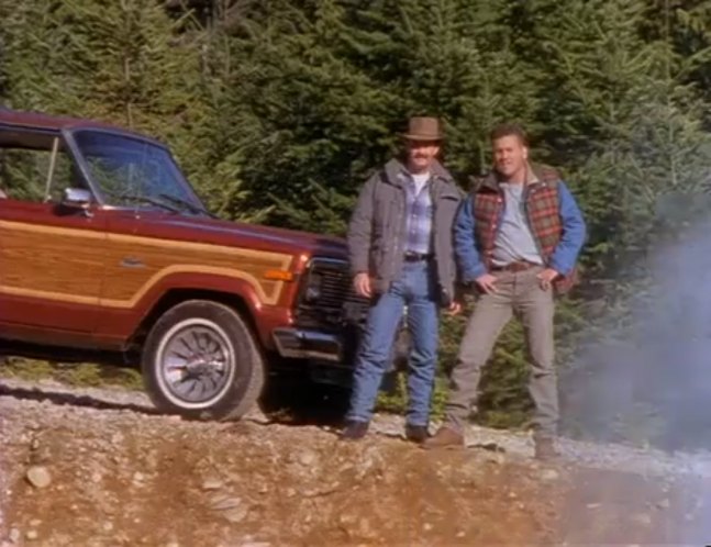 1984 Jeep Grand Wagoneer [SJ]