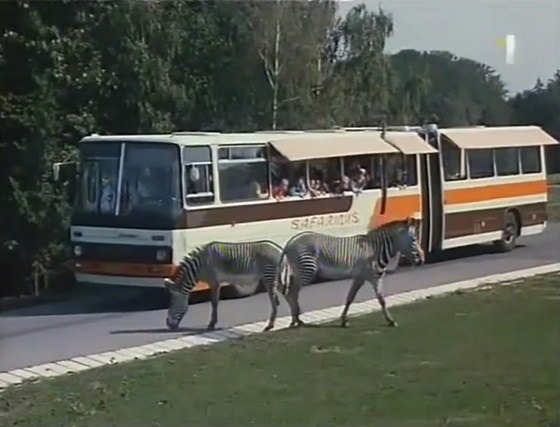 Ikarus 280