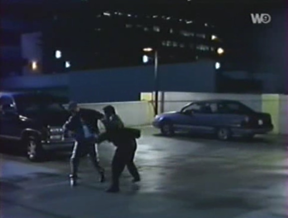 1986 Mercury Sable [DN5]