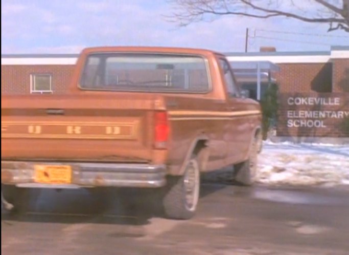 1980 Ford F-Series