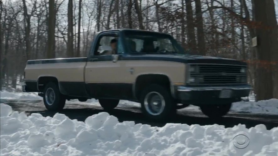 1983 Chevrolet C-10