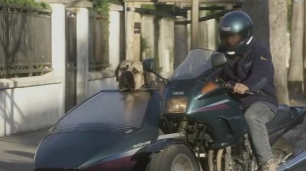 Yamaha FJ 1200