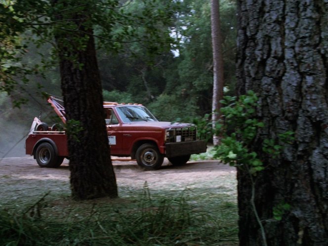 1980 Ford F-350