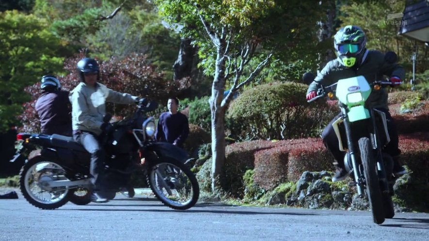 Kawasaki KDX 220