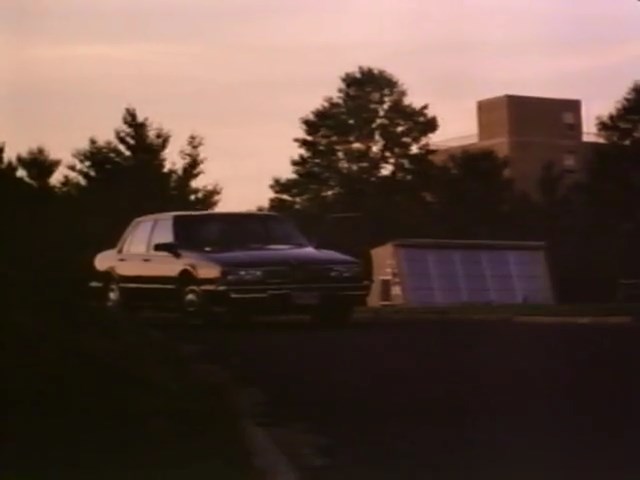 1987 Oldsmobile Delta 88 Royale
