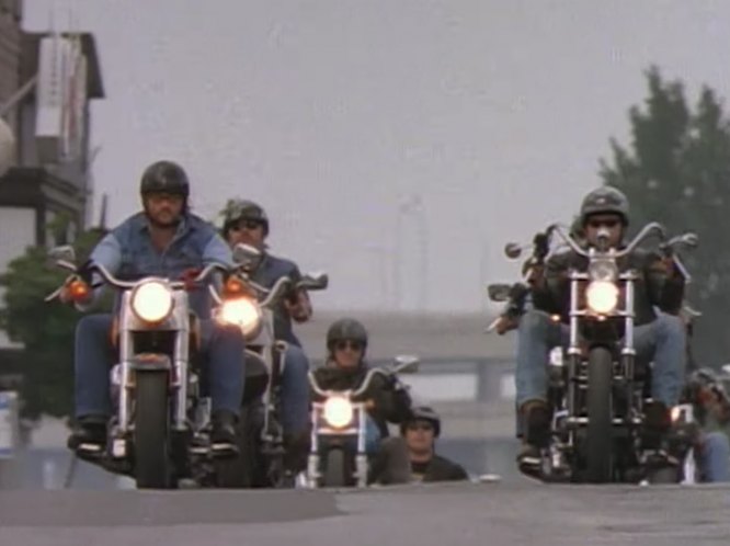 Harley-Davidson FLSTF Fat Boy