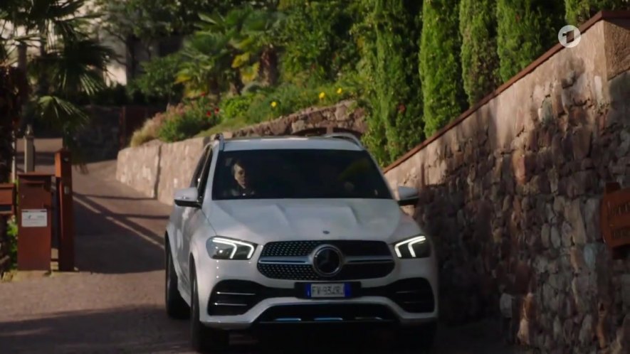 2019 Mercedes-Benz GLE 300 d 4Matic [V167]