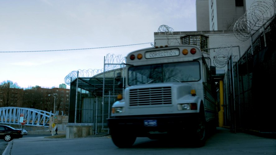 International 3000-Series Wayne Lifeguard