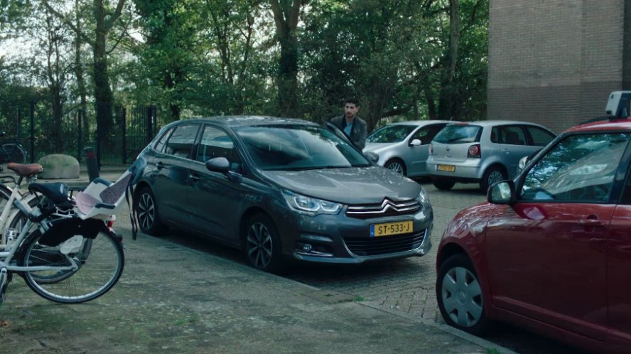 2018 Citroën C4 BlueHDi 100 Business Série 2