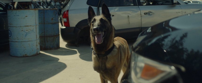 2004 Hyundai Tucson [JM]