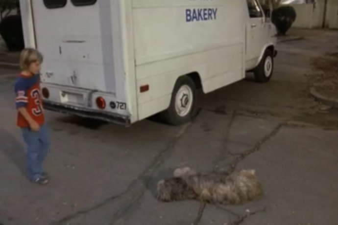 Chevrolet Chevy Van
