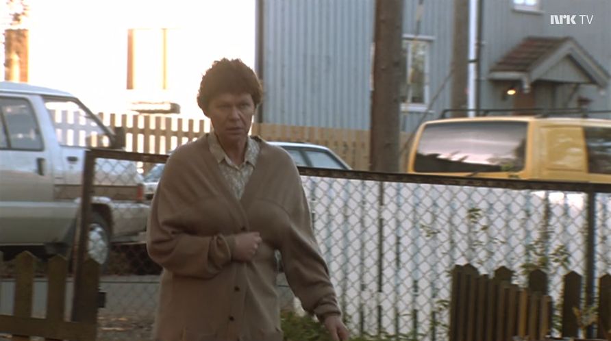 1984 Toyota Model F [R20]