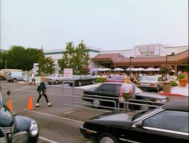 1987 Nissan Maxima SE [U11]