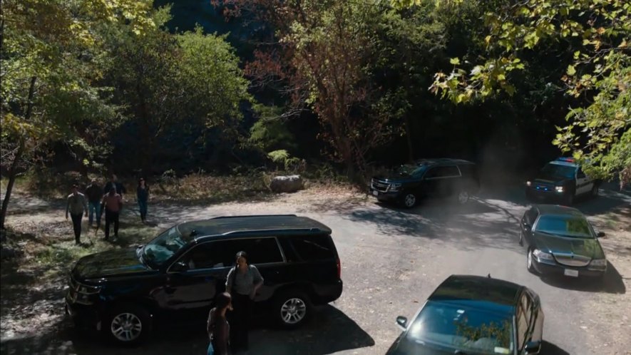 2006 Lincoln Town Car