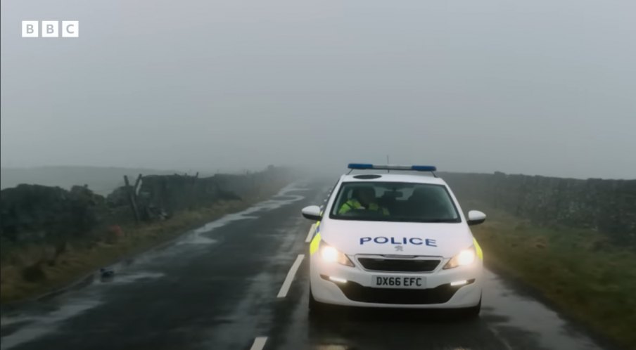 2017 Peugeot 308 1.6 BlueHDi 100 Access Police Série 2 [T9]