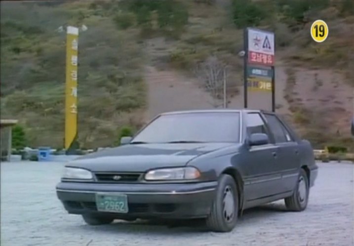 1991 Hyundai Sonata [Y2]