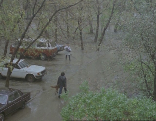 1982 Volkswagen Bus T3 [Typ 2]