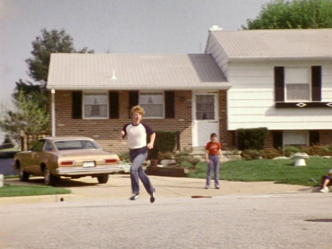 1975 Chevrolet Chevelle Malibu