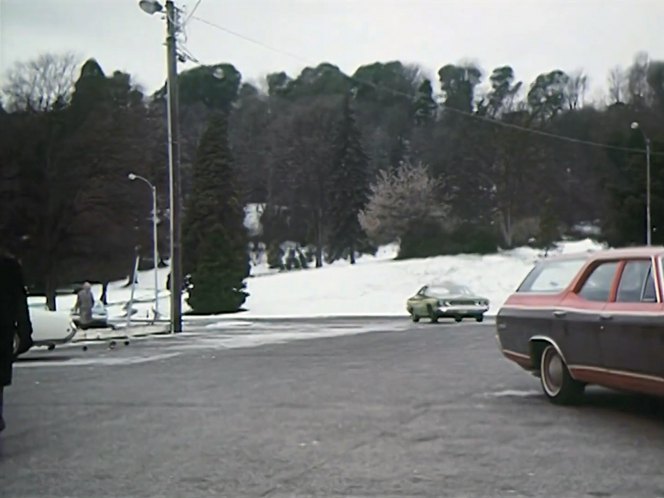 Chevrolet Chevelle Concours Estate
