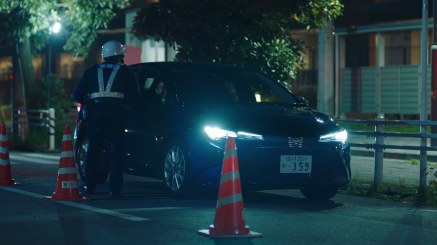 2019 Toyota Corolla Touring [E210W]