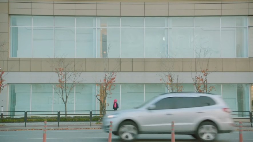 2011 Hyundai Santa Fe [CM]