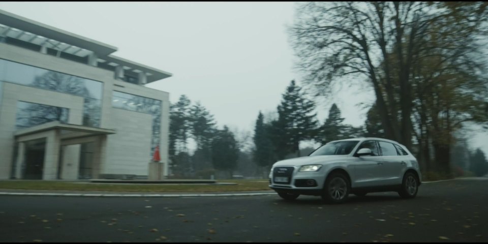 2013 Audi Q5 [Typ 8R]