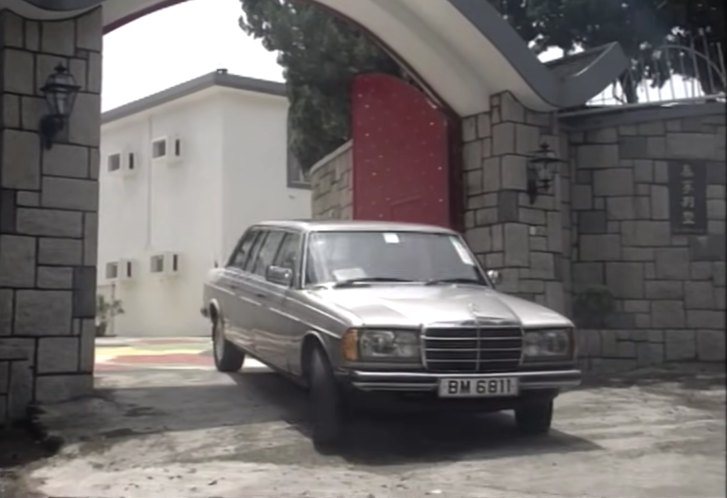 1978 Mercedes-Benz 300 D Lang [W123]